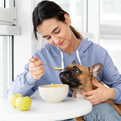 Jeffdad 6 Stück Katzen Löffel Edelstahl, Katzenpfotenschaufel Katzenlöffel Hundelöffel Haustier Futter Löffel, Paw Cat Can Spoon Fütterungslöffel Langer Griff Futterlöffel für Haustiere