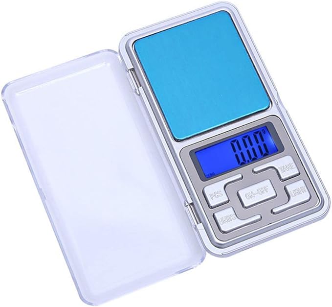 Mini Electronic Digital Pocket Scale Digital Scale,Scale Weight grams High Accuracy 0.01g-500g Portable Kitchen Pocket Scale LCD Display for Food,Jewelry,Coffee,Tea,Pill,Nutrition Scale,