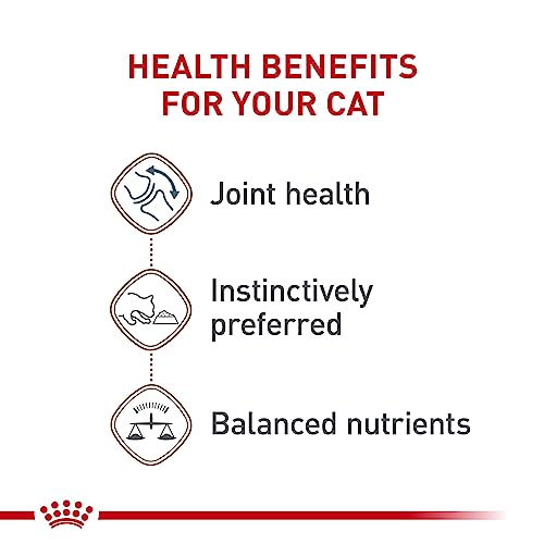 Royal Canin Feline Health Nutrition Aging 12+ Senior Loaf in Sauce Cat Food, 5.1 oz (Pack of 24)
