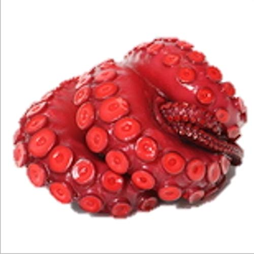 | 600g (|_RoPc)mLFn}_R K p y|z①