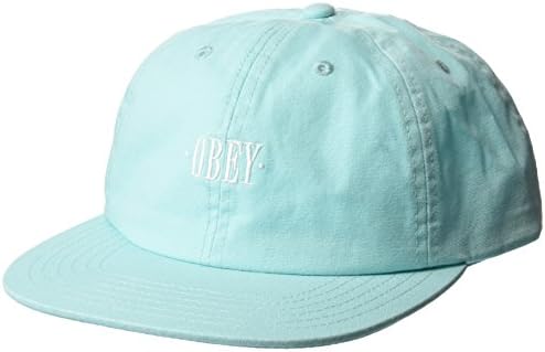 Obey Men's ROSA 6 Panel Snapback HAT, Mint, O/S