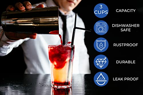 Touch Of Mixology Stainless Steel Cocktail Shaker - 25Oz Modern And Sleek Drink Shaker With Strainer - Durable And Rust Proof Martini Shaker #TOP2