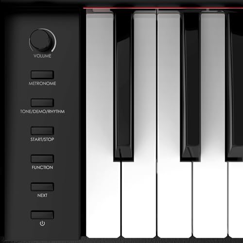 image for GAOMON Digital Piano, Full Size 88 Key Weighted Hammer Professional Ho