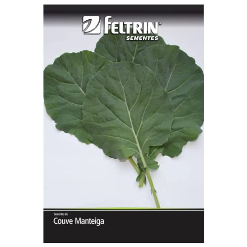 Kit 4 Sementes Legumes Horta Em Casa Jardins Vasos (Berinjela, Beterraba, Brócolis, Couve)