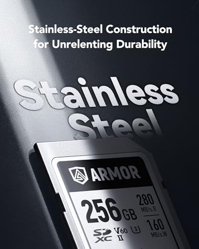 Image of Lexar ARMOR SILVER PRO SD Card 256GB, UHS-II SD Memory Card, Stainless Steel, C10, U3, V60, 6K UHD Video, up to 280MB /s Read, 160MB /s Write, SDXC Card for DSLR /Camera /Photographer /Videographer