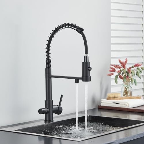 Robinets de cuisine bec filtre noir avec mitigeur orientable