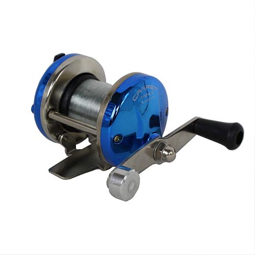 Amazon | ソルフィエスタ(Solfiesta) リール SOLFIESTA(ソル