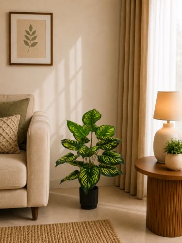 Image of Cocco.BUA Artificial Plant with Black Pot, 18 Leaves, 76 CM (2.5 Feet) (Calathea Plant)