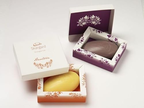 『Soap Packaging as a Canvas: Innovative Designs and Artistic Expressions』のカバーアート