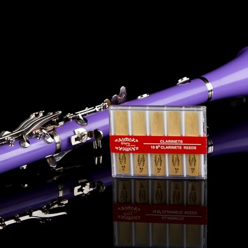 Image of Glory GLY-CLAPUR Professional Ebonite Bb Clarinet with 10 Reeds, Stand, Hard Case, Cleaning Cloth, Mouthpiece Brush and Pad Brush,Purple /Silver