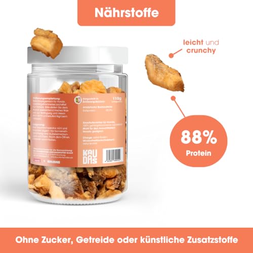 KAUDAS LachsPur Natursnack – 5 x 50 g gefriergetrocknetes Lachs Leckerli Hund mit hohem Proteingehalt & Omega-3, 100% natürlicher Hundesnack 550 g Rohgewicht – ohne Zucker, Getreide & Zusatzstoffe