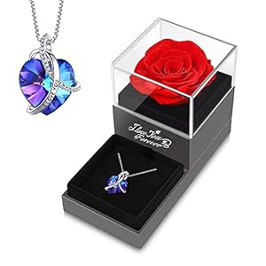 Preserved Real Red Rose with I Love You Heart Crystal Necklace -Eternal Flowers Rose Gifts for Girlfriend Mom Wife Her…