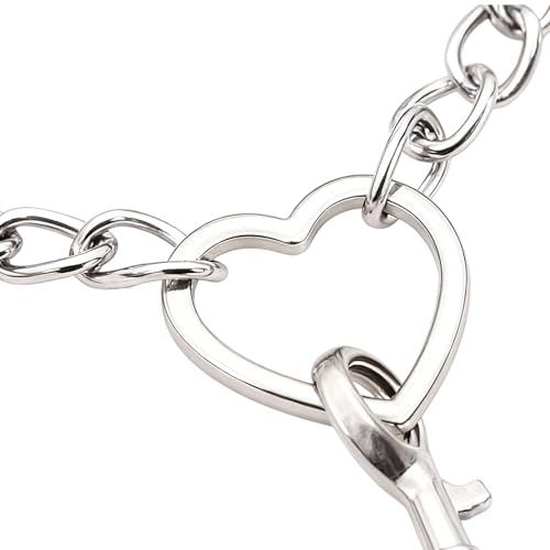 Halsband Damen für Sex, BDSM Halsbänder Leine Ketten, Fetisch Collar für Sexspielzeug & Bondage, Sexhalsbänder für Paare, Männer & Frauen (Schwarz & Silber)