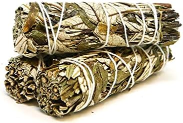 Miniatura 2 de Saint Terra - Varilla de yerba santa (hierba sagrada) de 4 pulgadas; paquete de 3