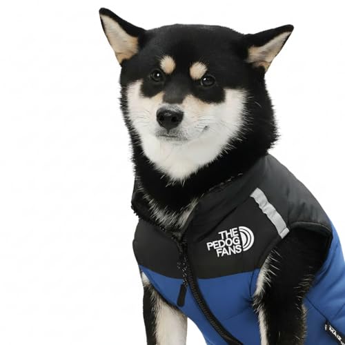 GIIPET   H~ hbOEFA h n[lX̌^  WPbg g h hh y ₷ ^ ^ ^ Č (u[, 5XL)