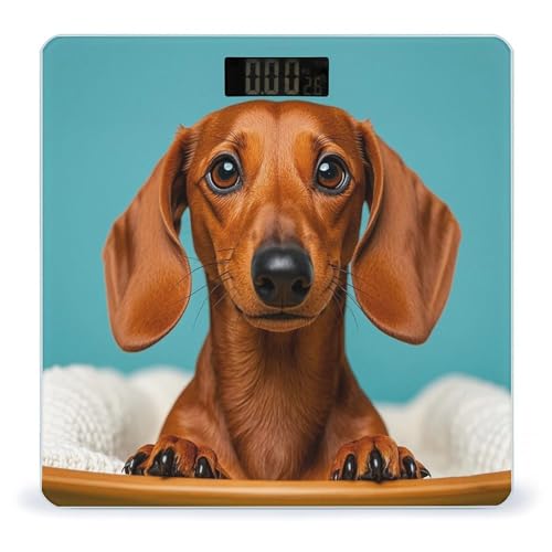 Báscula Digital de Baño FekiLoot con Plataforma Ancha y Pantalla LCD