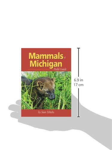 Mammals Of Michigan Field Guide (Mammal Identification Guides) #TOP1