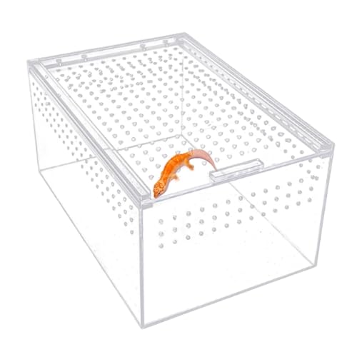 ঒��� �g�J�Q �P�[�W �J�i�w�r����P�[�X ���v�^�C���{�b�N�X ���x���x�v�t�� ����e��A�N���� ���a�� ���� �ʋC�P�[�W ��������P�[�X ���a�P�[�W ���C���ǂ� ঒��ރe�����E���^���N �T �� �T�\�� ���� �{�b�N�X ������ �w� �T�\���n���l�Y�~ �J�G