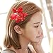 YSSZAM 5Pcs Hawaiian Flower Hair Clip for Women Girls Fashion Bohemian Flowers Hair Accessory for Dancer Bridal Wedding Beach Party