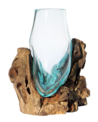 Wogeka - Vase en verre sur bois racine Gamal - Style moderne en bois comme idée cadeau pour Noël décoration d'anniversaire (verre haut S (Ø verre 12-14 cm))