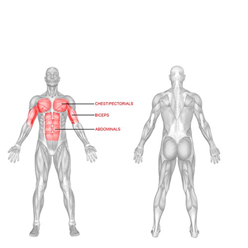 Valor Fitness DF-1 Adjustable Decline/Flat Bench for Weightlifting and Ab Crunches