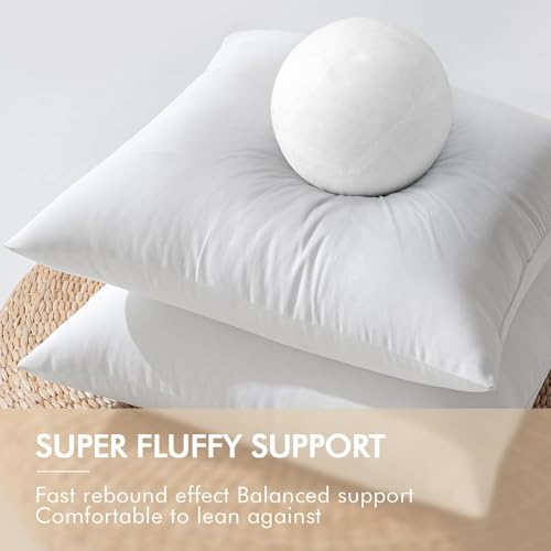 MIULEE Pack of 2 24x24 Inch Outdoor Pillow Inserts Waterproof Decorative Throw Pillow Insert, Square Lumbar Garden Pillow Form for Patio Sofa Couch