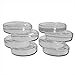 (8-Pack) Premium Glass Fermentation Weights for Large Wide Mouth Mason Jars (2 3/4 Inch)