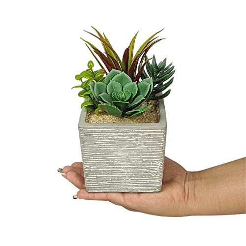 Kit 3 Plantas Suculentas Artificiais com Vaso Decorativo Grande