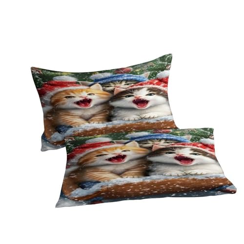 Housse de couette chatons Noël 3D en microfibres 260x220 cm avec taies d'oreiller