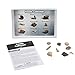 Educational Insights Complete Rock, Mineral, & Fossil Collection - Educational Science Kits for Kids, Classroom Rock Collection, Geology Kit, STEM Sets and Gifts for Boys and Girls Ages 8+