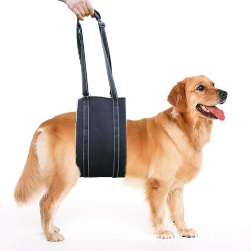 Verstellbarer Hunde Tragehilfe für Mittelgroße/Große Hunde, Sicherheitsunterstützung für Alte Verletzte Behinderte Hunde, Rehabilitationsgeschirr mit Polsterung