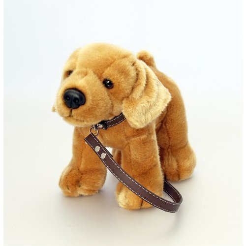 30cm Golden Labrador Soft Toy Dog on Brown Lead by Keel Toys (English Manual)