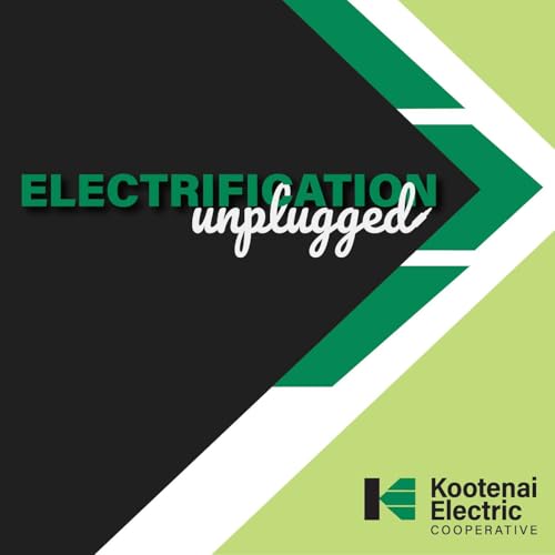 Page de couverture de Electrification Unplugged