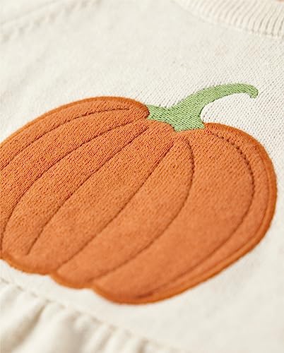 Gymboree Girls and Toddler Short Sleeve Sweater Dresses2