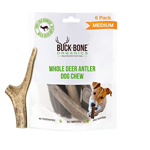 Buck Bone Organics Dog Chews, Deer Antlers for Dogs, Long Lasting Dog Bones for Aggressive Chewers, All Natural, No Preservatives, Wild Shed in The USA, Small/Medium 6 Pack
