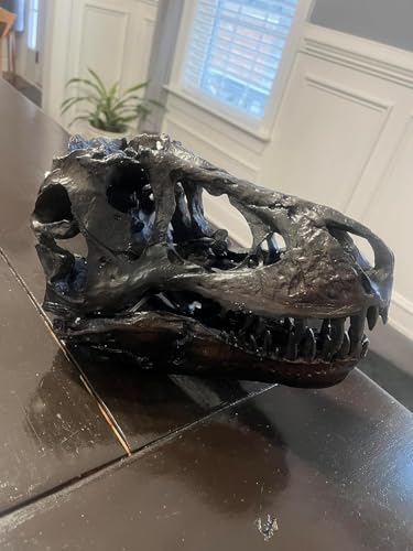 JOTNBOBO Dinosaurier-Schädel-Statue, Dinosaurier-Skulpturen Halterung Tyrannosaurus Schädel Replik Dekoration Schädel Knochen Harz Replik mit Halterung für Home Office Decor Regal Display