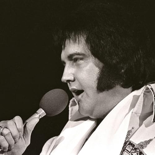 Le King face &agrave; "Elvis : What Happened ?" le tr&egrave;s controvers&eacute; livre de ses gardes du corps