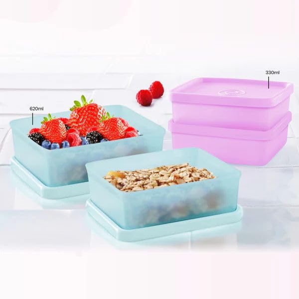 Buy TupperwareSquare Away Set of 4 (2 Large 620ml + 2 Small 330ml