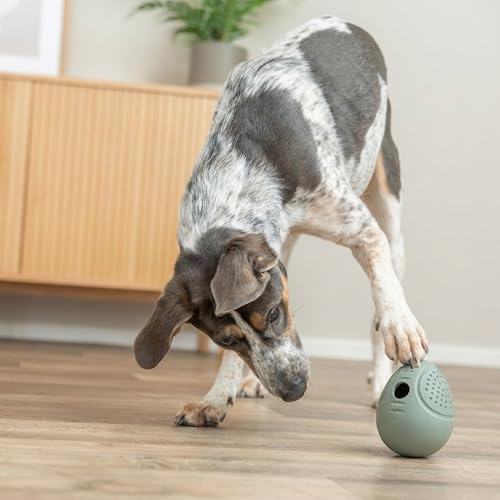 TRIXIE Steh-Auf-Snack-Ei - robustes Hundespielzeug aus Gummi für langen Spielspaß - 8 cm, Futterspielzeug für Leckerlies - 34947 Verschiedene