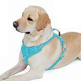 BARKBAY No Pull Dog Harness Front Clip Heavy Duty Reflective Easy Control Handle for Large Dog Walking with ID tag Pocket(Blue,L)