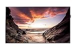 Samsung 43IN LED 1920X1080 16:9 8MS PM43F 5000:1 VGA HDMI DP 43" HD Black - computer monitors (1920 x 1080 pixels, LED, HD, 1920 x 1080 (HD 1080), Mega Contrast, 1.073 billion colours)