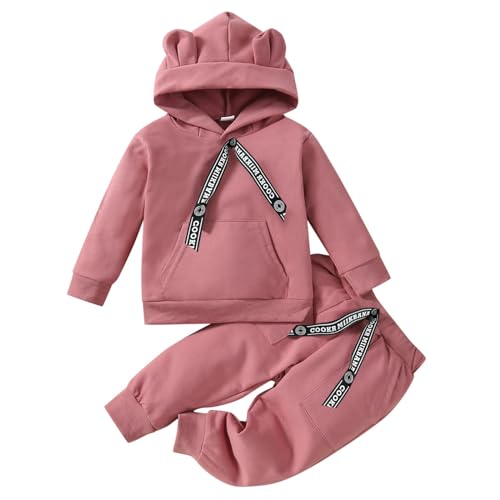 2 Piece Toddler Boys Girls Outfits Sweatsuit Sets Long Sleeve Hoodie Pullover Jogger Pants Fall Winter Clothes Sets