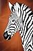 Zebra Sketch Grid Notebook: Minimalist Wildlife Design | Graph Paper Journal for Notes, Math & Creative Planning