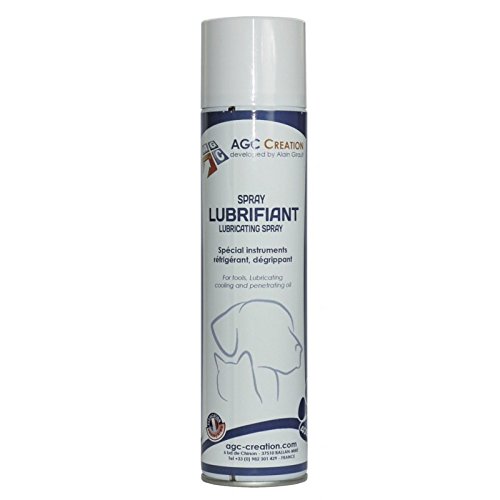 ACG Creation - Lubricating Spray for Instruments, 300 ml