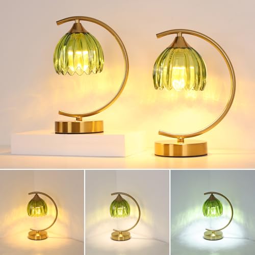 Image of Shenmoyl Set of 2 Tulip Table Lamp, 5200mAh Cordless Touch Control Table Lamp with 3 Color Temps & Stepless Dimming, Rechargeable Battery Table Lamp for Living Room, Bedroom, Office(Green Tulip)