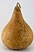 Gourd, Purple Martin, Dried and Ready for Crafting
