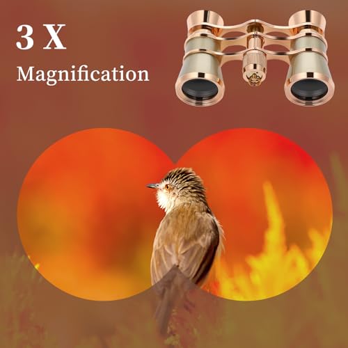 Binoculares Opera Glasses 3X25 Mini con Cadena miniatura 2