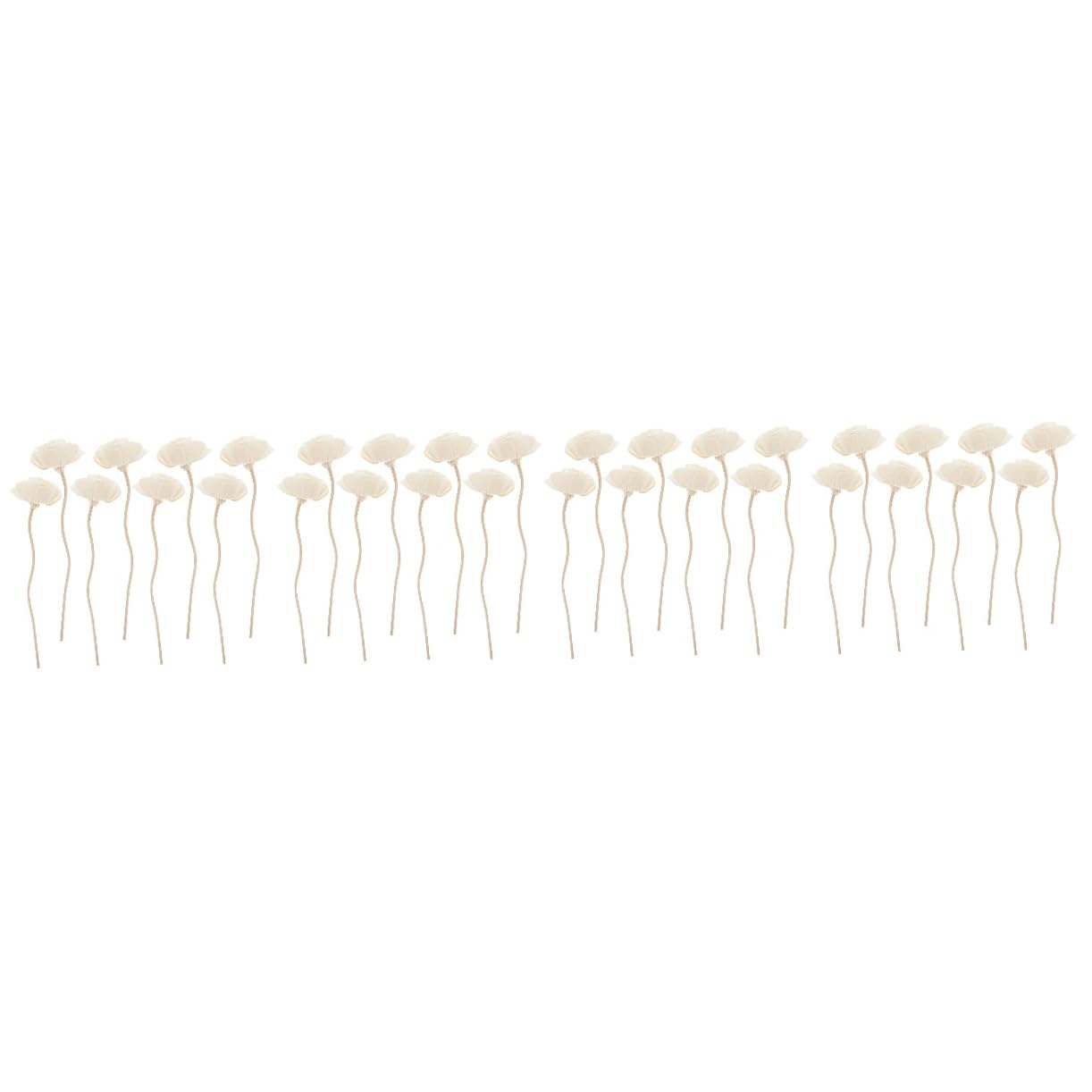 Alipis 32 STK Tong-Gras- Stick Mit Ätherischen Ölen Diffusor-Sticks Rein Nebel Duftdiffusor Für Zu Hause Stick-diffusor Duftdiffusoröl Aromatherapie Pflege Topper Flüssig Rattan Weiß