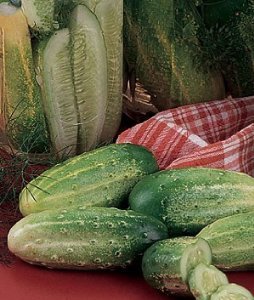 Vegetable Seeds - Premium Quality For Home Gardening, 1.00 Count