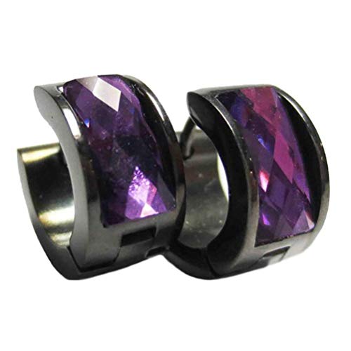 OAKKY Bijoux Hommes et Femmes Profond Violet Cristal Diamant Noir 316L Acier Inoxydable Goujons Cerceau Des Huggie Boucles d'oreilles, Vintage Punk Cover